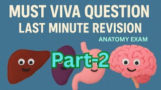 Exam in Anatomy: soft tissue viva Part 2 screenshot 4