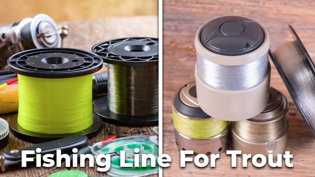 Best Fishing Line For Trout – Special Products Guided! 