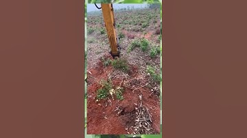 A Fierce Excavator! Crushing Bushes and Tree Roots in One Move #respecta #excavator #bulldozer