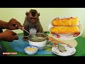 Baby Monkey Kako Eating Grill Baguettes With Butter Eggs