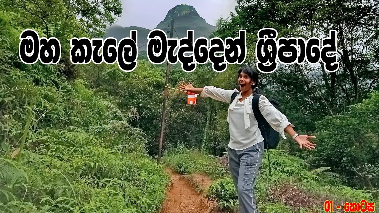 Adam's peak | පාරේ වලවල් වලින් වතුර බිබී සිරිපාදේ කන්ද නැග්ගා - එරත්න  කපල් වලට නියමයි #adamspeak