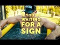 Watch This If You&#39;re Waiting for a Sign