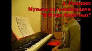 А. Рамирес Музыка из телепередачи "В мире животных" или "La Peregrinacion" А. Рамирес Музыка из телепередачи "В мире животных" или "La Peregrinacion"