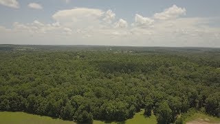 606 Acres East Texas Timber, Pasture, Hunting, Recreational, Investor Tract For Sale