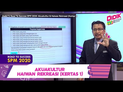 Video: Bahagian Terakhir Kita Bahagian 2 - Kembali Ke Akuarium: Cara Menyelesaikan Bab Cerita