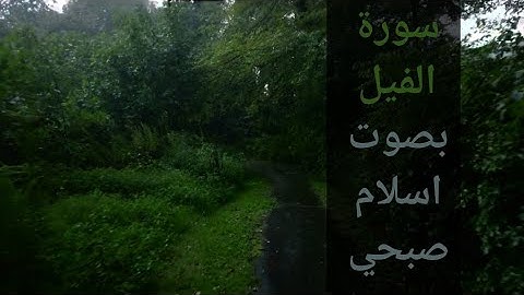 سورة الفيل | اسلام صبحي