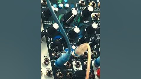 Qu-Bit Nautilus Sounds Fantastic