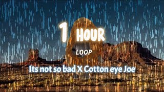 Its not so bad X Cotton eye Joe | Very SAD nugget CAT (Gegagedigedagedago) 1 HOUR loop