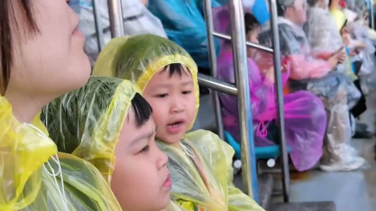 海昌海洋公園虎鯨表演