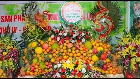 Video giới thiệu về xã Biển Động - Tại Hội Chợ Cam Bưởi Lục Ngạn 2020🍒🍒🍒