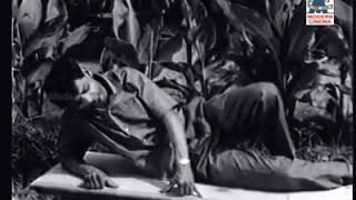 Aadi adangum valkaiyada - WhatsApp status