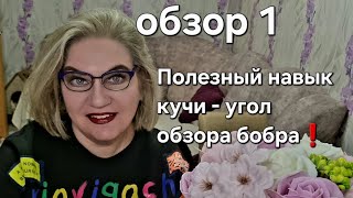 видео: Полезный навык кучи - угол обзора бобра❗️ картинка: Полезный навык кучи - угол обзора бобра❗️