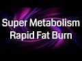 Super Metabolism Binaural Beats | Rapid Fat Burn Frequency | Fast Weight Loss