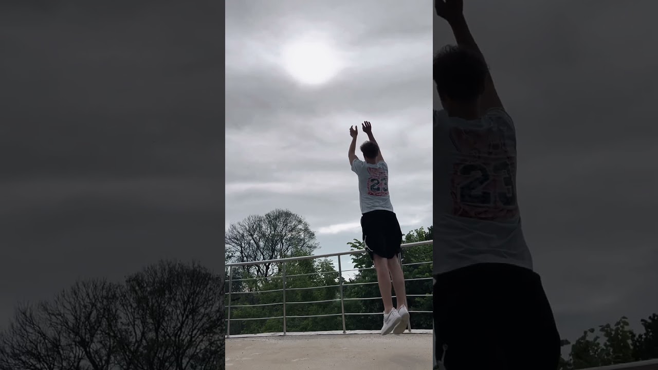 Футболка Jordan Flight MVP 