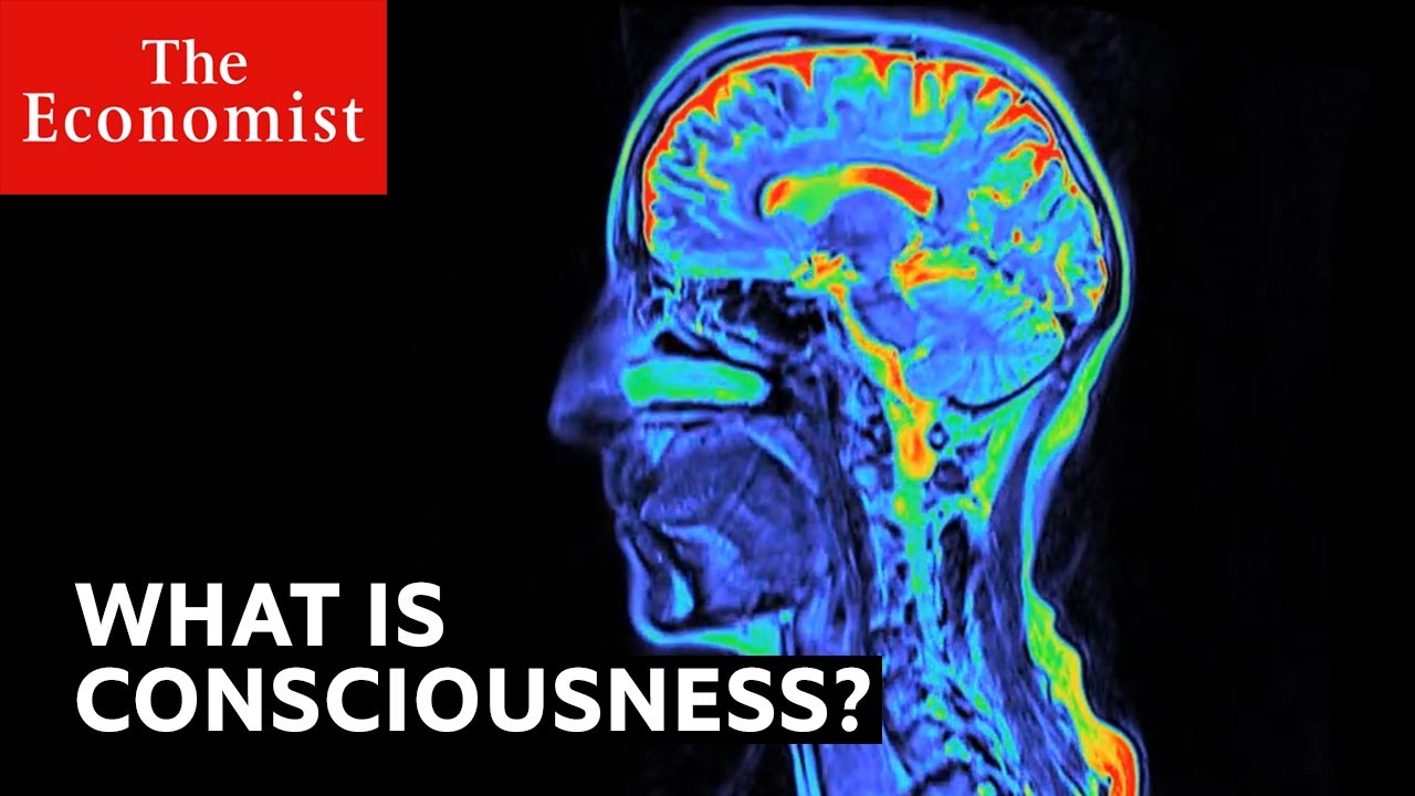 ⁣What is consciousness?
