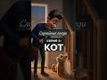 Он не хотел брать кота… | Случайные соседи — Серия 2