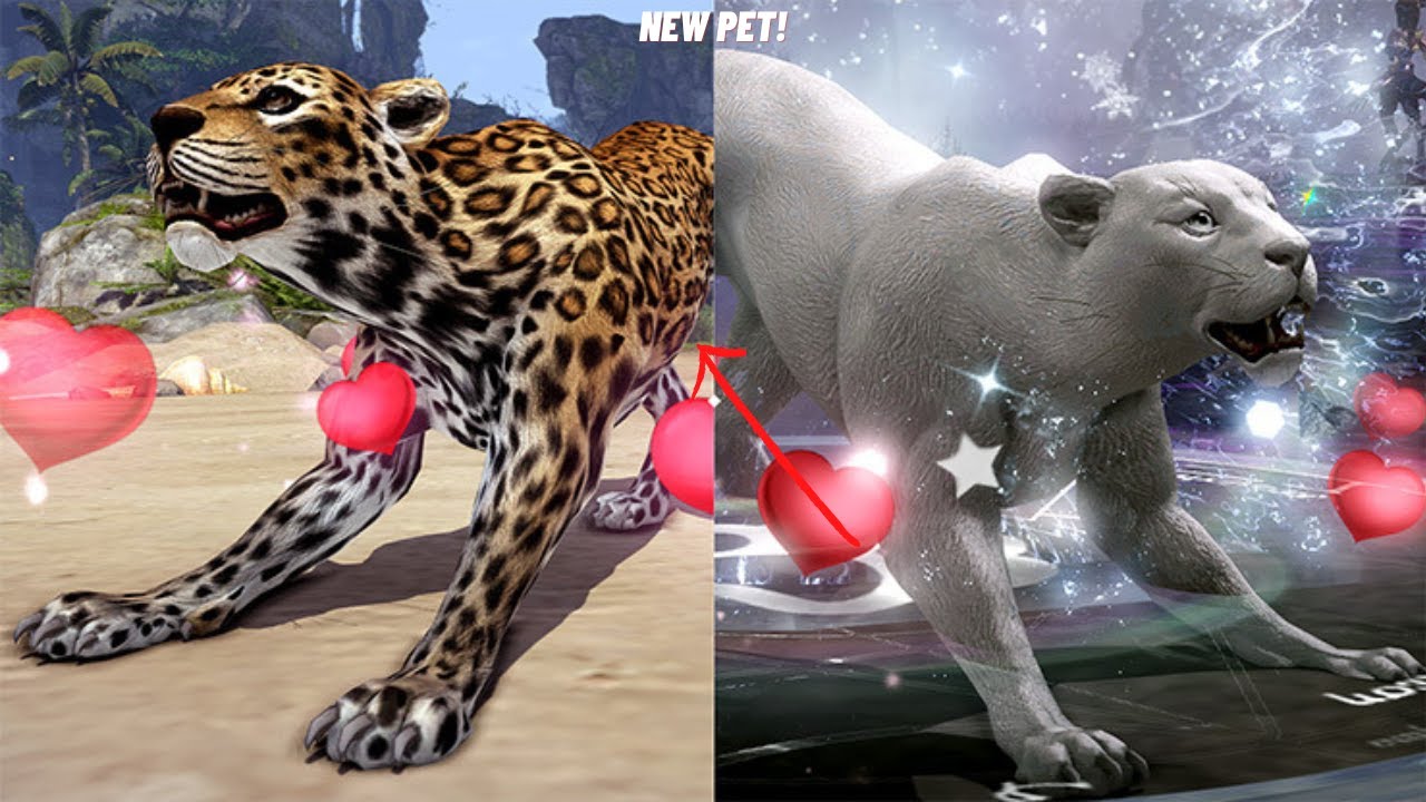 Lost Ark : Leopard Pet Review - YouTube