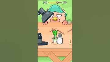 CAT ESCAPE GAME 394 //HIDE AND SEEK// BOK-CHOY ESCAPING DANGER!! #shorts #cat #gaming