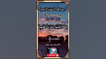 سيد سعيد #تلاوة_خاشعة #ستوري_قرآن