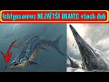 Ichtyosaurus NEJVĚTŠÍ DRAVEC všech dob o velikosti velryby kdysi vládl mořím