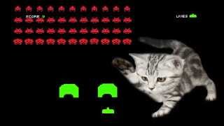 Space Invaders vs Cat screenshot 1