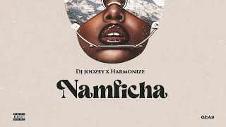 Dj Joozey X Harmonize – Namficha (Official Lyrics Audio)