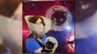 Stray video game helps raise money for real shelter cats - Upworthy