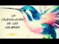 La (r)evolution des colibris - ZAZ (Sub - español)