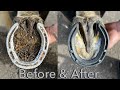 Before &amp; after - HOOF RESTORATION!