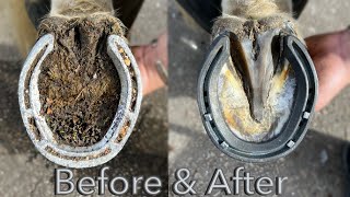 Before & after - HOOF RESTORATION!