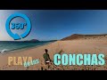 PLAYAS más salvaje de Lanzarote. Playa de las CONCHAS 🌐  en 360º ISLA GRACIOSA
