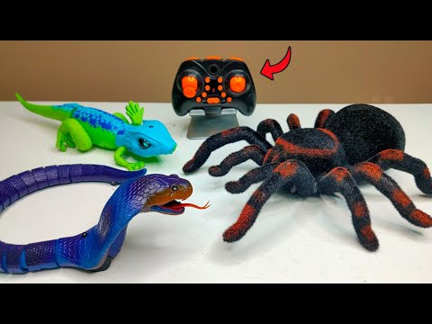 RC Realistic Tarantula Spider Unboxing & Testing - Chatpat toy tv