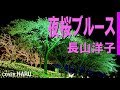 「夜桜ブルース」長山洋子 cover HARU