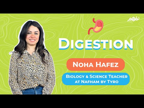 Nafham | Digestion - Noha Hafez