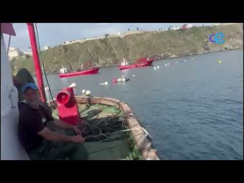 Importantes pérdidas en la Cofradía de Pescadores