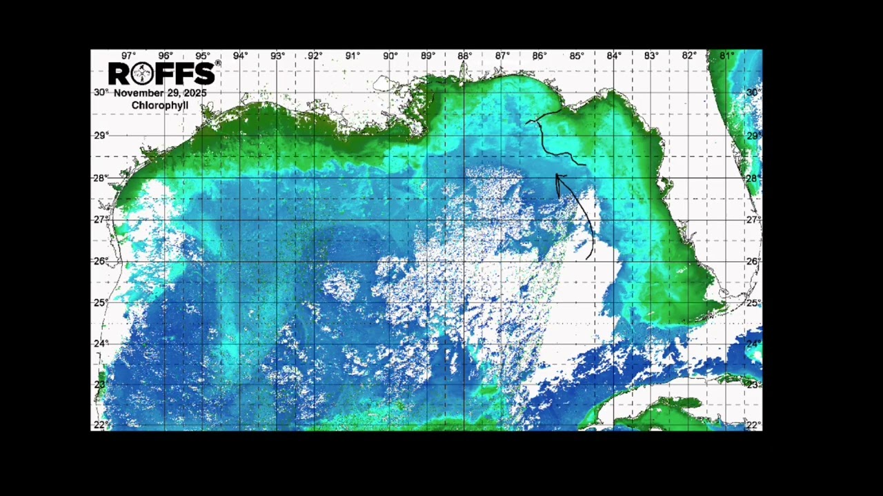 Обновление данных о состоянии океана в Мексиканском заливе (Американский залив) — 02.12.2025