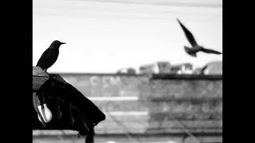 -12dB - Forgive Me (Reverb Remix)