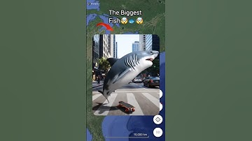 the biggest fish 🐟 on Google Maps 🤯😱 | #ddgoogleearth #earth616 #googlemaps #shots #gps #funny #map