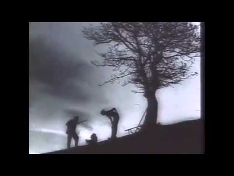 ამომიყვანე ილარიონ (მე,ბებია,ილიკო და ილარიონი)