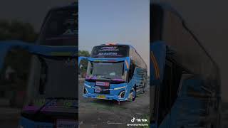 Story WA Bus Berkah Bersaudara 'Ar-Rasyid'#storywabus#shorts#berkahbersaudara#basuri#moduldav