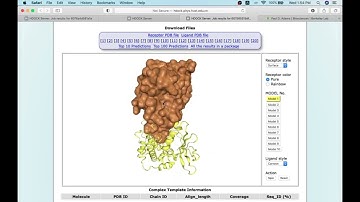 Protein-protein docking demonstration by Dr. Saraboji