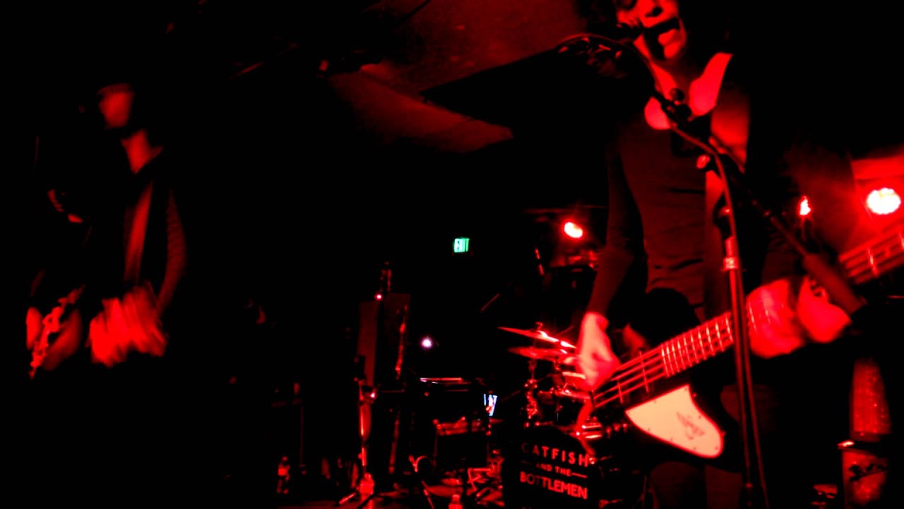 download cocoon catfish and the bottlemen download cocoon catfish and the bottlemen
