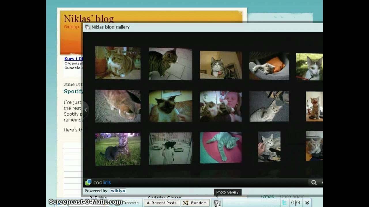 Wibiya toolbar: a review