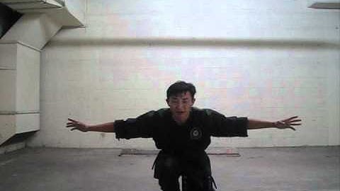 ChosonNinja NINJUTSU (fall & roll # 1) Video #002