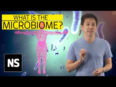 The microbiome: How gut bacteria regulate your health | Science with Sam