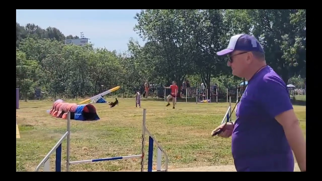 Le meilleur de Stark 2025 en agility 🤩 Wao ,Eo ,wolfood...