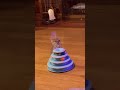 Cats playing with toys | Funny cats, dogs and animals ep29 #funnycats #catvideos #cat #shorts
