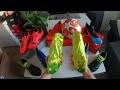 $ 2500 Football Unboxing 😱