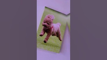 Experience the art of personalization. Our Canvas Prints turn your memories into visual poetry.