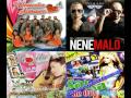 Mix 4 en 1: Cumbia,Turro,Huayno Sureño y Salsa HD